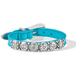 Load image into Gallery viewer, Harmony Bandit Bracelet-Aqua