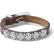 Load image into Gallery viewer, Harmony Bandit Bracelet-Brown