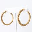Load image into Gallery viewer, Hoop Earrings