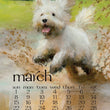 Load image into Gallery viewer, 2026 Poster Calendar - 11 x 14 - Dog Days