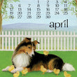 Load image into Gallery viewer, 2026 Poster Calendar - 11 x 14 - Dog Days