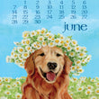 Load image into Gallery viewer, 2026 Desktop Calendar - 5 x 7 - Dog Days