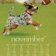 Load image into Gallery viewer, 2026 Desktop Calendar - 5 x 7 - Dog Days