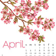 Load image into Gallery viewer, 2026 Poster Calendar - 11 x 14 - Flowers