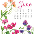 Load image into Gallery viewer, 2026 Poster Calendar - 11 x 14 - Flowers