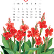 Load image into Gallery viewer, 2026 Poster Calendar - 11 x 14 - Flowers