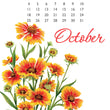 Load image into Gallery viewer, 2026 Poster Calendar - 11 x 14 - Flowers