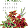 Load image into Gallery viewer, 2026 Poster Calendar - 11 x 14 - Flowers