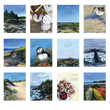 Load image into Gallery viewer, 2024 Poster Calendar - 11 x 14 - Coastal