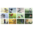 Load image into Gallery viewer, 2024 Desktop Calendar - 4 x 6 - Bird