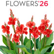 Load image into Gallery viewer, 2026 Poster Calendar - 11 x 14 - Flowers
