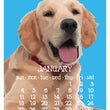 Load image into Gallery viewer, 2026 Poster Calendar - 11 x 14 - Abacus