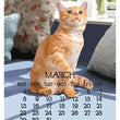 Load image into Gallery viewer, 2026 Poster Calendar - 11 x 14 - Abacus