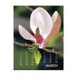 Load image into Gallery viewer, 2026 Poster Calendar - 11 x 14 - Linnea Design