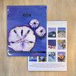 Load image into Gallery viewer, 2026 Poster Calendar - 11 x 14 - Coastal
