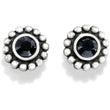 Load image into Gallery viewer, Twinkle Mini Post Earrings