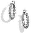 Load image into Gallery viewer, Twinkle Splendor Small Hoop Earrings