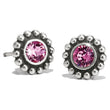 Load image into Gallery viewer, Twinkle Mini Post Earrings-October