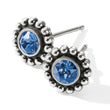 Load image into Gallery viewer, Twinkle Mini Post Earrings-September
