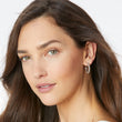 Load image into Gallery viewer, Twinkle Splendor Small Hoop Earrings
