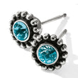 Load image into Gallery viewer, Twinkle Mini Post Earrings-December