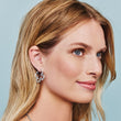 Load image into Gallery viewer, Toledo Hoop Earrings