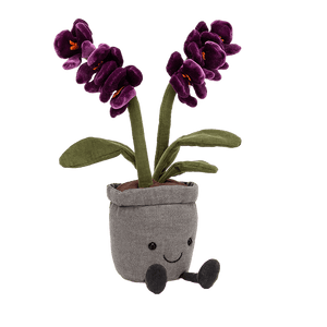 Amuseable Orchid - Purple