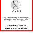 Load image into Gallery viewer, LOLA - Cardinal Pendant - Periwinkle