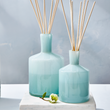 Load image into Gallery viewer, Classic 6oz Reed Diffuser - Marine