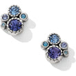 Load image into Gallery viewer, Halo Post Earrings