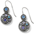 Load image into Gallery viewer, Halo French Wire Earrings