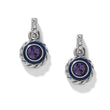 Load image into Gallery viewer, Halo Gemma Petite Round Post Drop Earrings
