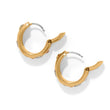 Load image into Gallery viewer, B Radiant Hoop Earrings
