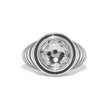 Load image into Gallery viewer, Meridian Aurora Domed Ring-Crystal
