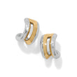Load image into Gallery viewer, Medici Hoop Earrings
