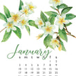 Load image into Gallery viewer, 2027 Desktop Calendar - 5 x 7 - Flowers
