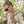 Load image into Gallery viewer, Pebble Medali Sunglasses
