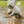 Load image into Gallery viewer, 2026 Poster Calendar - 11 x 14 - Dog Days
