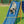 Load image into Gallery viewer, 2026 Desktop Calendar - 5 x 7 - Dog Days
