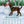 Load image into Gallery viewer, 2026 Desktop Calendar - 5 x 7 - Dog Days
