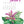 Load image into Gallery viewer, 2026 Poster Calendar - 11 x 14 - Flowers
