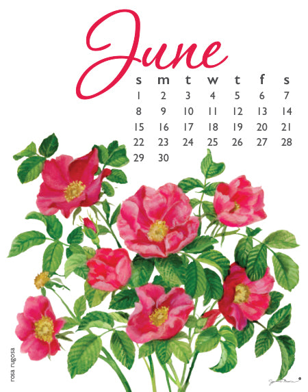 2025 Poster Calendar - 11 x 14 - Flowers