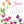 Load image into Gallery viewer, 2026 Poster Calendar - 11 x 14 - Flowers
