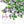 Load image into Gallery viewer, 2026 Poster Calendar - 11 x 14 - Flowers
