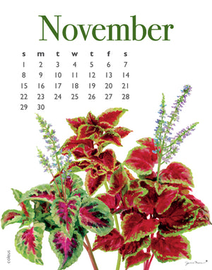 2026 Poster Calendar - 11 x 14 - Flowers