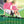 Load image into Gallery viewer, 2026 Desktop Calendar - 5 x 7 - Kate Libby
