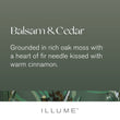 Load image into Gallery viewer, Balsam Cedar - Demi Tin Candle
