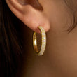 Load image into Gallery viewer, Giselle Pavé Hoops

