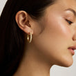 Load image into Gallery viewer, Giselle Pavé Hoops
