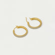Load image into Gallery viewer, Giselle Pavé Hoops
